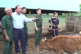 Cựu chiến binh Đức Cơ nỗ lực làm giàu, sẻ chia khó khăn với đồng đội 