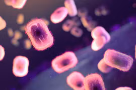 WHO họp khẩn, xem xét ban bố tình trạng khẩn cấp toàn cầu bệnh đậu mùa khỉ