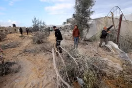 40 nghị sĩ Mỹ kêu gọi ngừng chuyển vũ khí cho Israel, đại diện Hamas tới Ai Cập đàm phán