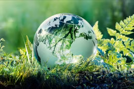 Hỗ trợ 60 trường hợp từ sự kiện ra mắt mô hình đổi mới kinh tế xanh ASEAN