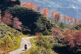 Báo Argentina bình chọn Sapa là điểm đến hấp dẫn của Việt Nam 