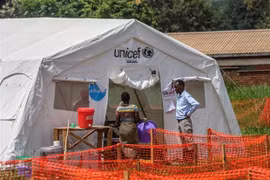 Dịch tả lại hoành hành châu Phi