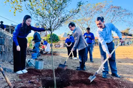 Đoàn khối các Cơ quan và Doanh nghiệp tỉnh Gia Lai ra quân Tháng Thanh niên năm 2024 