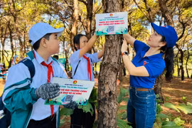 Gia Lai: Hơn 200 học sinh tham gia hoạt động trải nghiệm “Em với môi trường xanh”