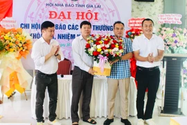 Gia Lai: Đại hội Chi hội Nhà báo các Báo thường trú lần thứ VIII