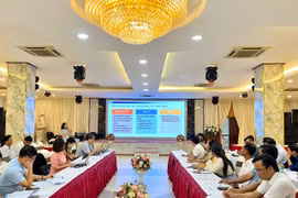 Hội thảo “Tham vấn duy trì các can thiệp hiệu quả trong dự án phát triển trẻ thơ toàn diện”