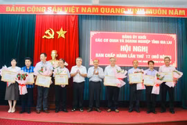 Đảng ủy Khối các Cơ quan và Doanh nghiệp tỉnh Gia Lai triển khai nhiệm vụ công tác quý II