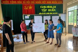 Lớp tập huấn chăm sóc trẻ em cho bố mẹ thuộc Dự án phát triển trẻ thơ toàn diện. Ảnh: H.D