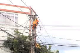 Công nhân Điện lực Pleiku kiểm tra lưới điện trên địa bàn thành phố. Ảnh: Hà Duy