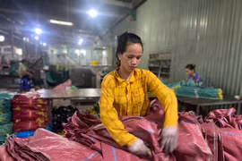 Công nhân làm việc tại nhà máy sản xuất bao bì của Công ty TNHH một thành viên Thiên Phúc Plastic. Ảnh Hà Duy