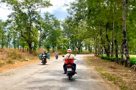 Đường vào núi lửa Chư Đang Ya (xã Chư Đang Ya, huyện Chư Păh). Ảnh: Hà Duy