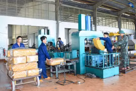 Nhà máy chế biến mủ cao su của Công ty 715. Ảnh V.H