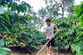 Gia Lai đang cố gắng đẩy nhanh tiến độ giải ngân các chương trình mục tiêu quóc gia. Ảnh: Hà Duy