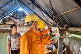 Công ty Điện lực Gia Lai sửa chữa, thay thế các thiết bị điện miễn phí cho các hộ dân có hoàn cảnh khó khăn. Ảnh: Hà Duy