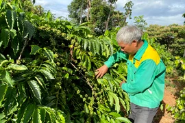 Quy hoạch sẽ tạo cơ sở cho việc lập đề án, chương trình, kế hoạch xây dựng nông thôn mới. Ảnh: Hà Duy