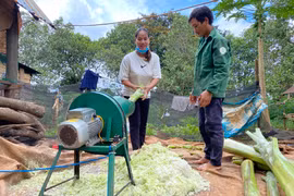 Năm 2023, Gia Lai sẽ hỗ trợ xây dựng 28 mô hình khởi nghiệp, khởi sự kinh doanh và thu hút đầu tư vùng đồng bào DTTS và miền núi. Ảnh: Hà Duy