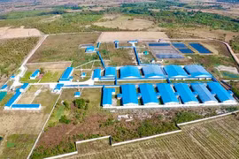 Ủy ban nhân dân tỉnh vừa cấp giấy phép môi trường cho dự án trang trại chăn nuôi heo thịt tại xã Ia Piơr (huyện Chư Prông)