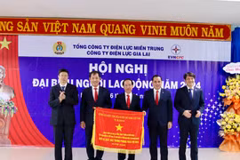 Thừa ủy quyền của Thủ tướng Chính phủ, ông Nguyễn Thanh-Thành viên HĐTV Tổng Công ty Điện lực miền Trung trao Cờ thi đua của Chính phủ cho Công ty Điện lực Gia Lai. Ảnh H.D