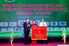 Chủ tịch UBND tỉnh đã tặng Cờ “Vì sự nghiệp xây dựng và bảo vệ tỉnh Gia Lai” cho Hiệp hội Doanh nghiệp tỉnh. Ảnh Hà Duy