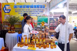 Sở KHCN tiếp tục triển khai hỗ trợ doanh nghiệp nhỏ và vừa, doanh nghiệp nhỏ và vừa tham gia cụm liên kết ngành, chuỗi giá trị trong năm 2023. Ảnh Hà Duy