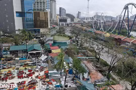 Bão số 3 quét qua TP Hạ Long (tỉnh Quảng Ninh) đã để lại thiệt hại nặng nề. Ảnh Internet
