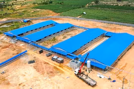 Gia Lai đang thu hút nhiều dự án chăn nuôi công nghệ cao. Ảnh Hà Duy