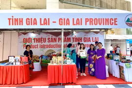 Các sản phẩm công nghiệp, nông nghiệp của Gia Lai nhận được nhiều sự quan tâm và yêu thích của khách hàng trong và ngoài nước. Ảnh: Hà Duy