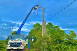 Công ty Điện lực Gia Lai sửa chữa lưới điện nông thôn. Ảnh H.D
