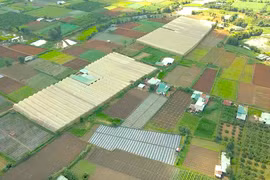 Gia Lai đang kêu gọi, thu hút các dự án đầu tư nông nghiệp công nghệ cao. Ảnh: Hà Duy