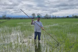 Chủ tịch Hội Nông dân xã Ia Piar làm kinh tế giỏi, nhiệt tình với công tác xã hội