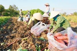 Thu hồi thư mời về việc kết nối nông sản ủng hộ nông dân Việt