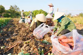Thu hồi thư mời về việc kết nối nông sản ủng hộ nông dân Việt