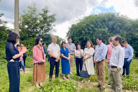 Xây dựng thí điểm mô hình Trung tâm thu mua-cung ứng nông sản an toàn