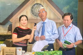 Gia Lai có 15 doanh nghiệp tham gia kết nối cung cầu tại TP. Hồ Chí Minh