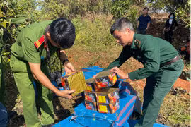 Phát hiện 183 vụ mua bán, tàng trữ, vận chuyển pháo nổ trái phép
