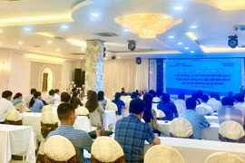 Tập huấn nâng cao năng lực về kinh doanh thương mại khu vực biên giới