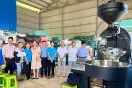 Hỗ trợ ứng dụng máy móc thiết bị tiên tiến trong chế biến cà phê