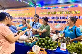 Kết nối tiêu thụ sản phẩm vùng đồng bào dân tộc thiểu số và miền núi 