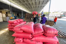 Gia Lai: Kim ngạch xuất khẩu tăng gần 53% so cùng kỳ