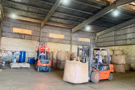 Gia Lai: Xuất khẩu cà phê giảm sản lượng nhưng tăng 38,6% giá trị đạt 428 triệu USD