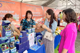 250 gian hàng tham gia hội chợ thương mại và giới thiệu sản phẩm nông nghiệp đặc trưng tỉnh Gia Lai