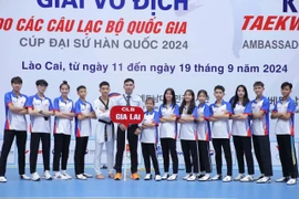 Gia Lai giành 8 tấm huy chương ở Giải Vô địch Taekwondo quốc gia