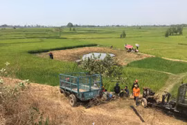 Đi bắt ốc, bé trai 10 tuổi rớt xuống đầm lầy tử vong