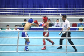 Gần 350 võ sĩ tranh tài ở Giải Vô địch Kickboxing toàn quốc 2024