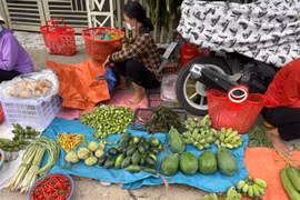 Chợ chiều Phú Túc