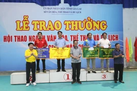 TP. Pleiku đứng nhất ở Hội thao ngành Văn hóa-Thể thao và Du lịch