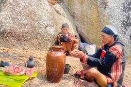 Lễ vật cúng cầu mưa gồm 1 ghè rượu, 1 đĩa thịt heo đen, 1 chén gạo, 1 cây nến. Ảnh: Vũ Chi