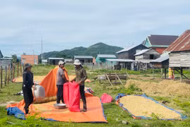 Người dân khu tái định cư buôn Du (xã Chư Rcăm, huyện Krông Pa) tích cực tăng gia sản xuất, cải thiện cuộc sống. Ảnh: Vũ Chi