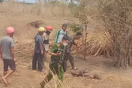 Phát hiện 1 thi thể trong vườn cao su ở xã Ia Blứ