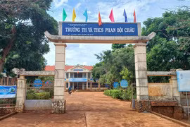 UBND tỉnh chỉ đạo xác minh, xử lý thông tin báo chí phản ánh tại Trường TH và THCS Phan Bội Châu 